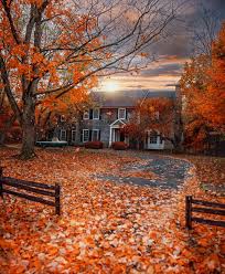 October/November Patrols 2025